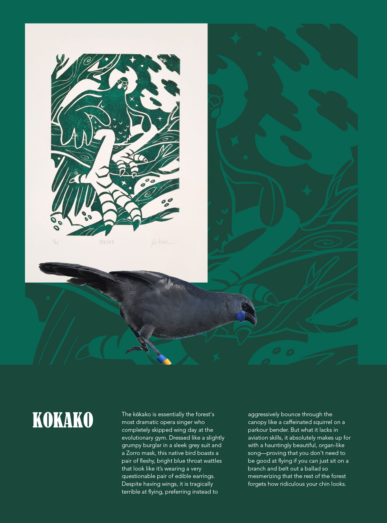Kokako