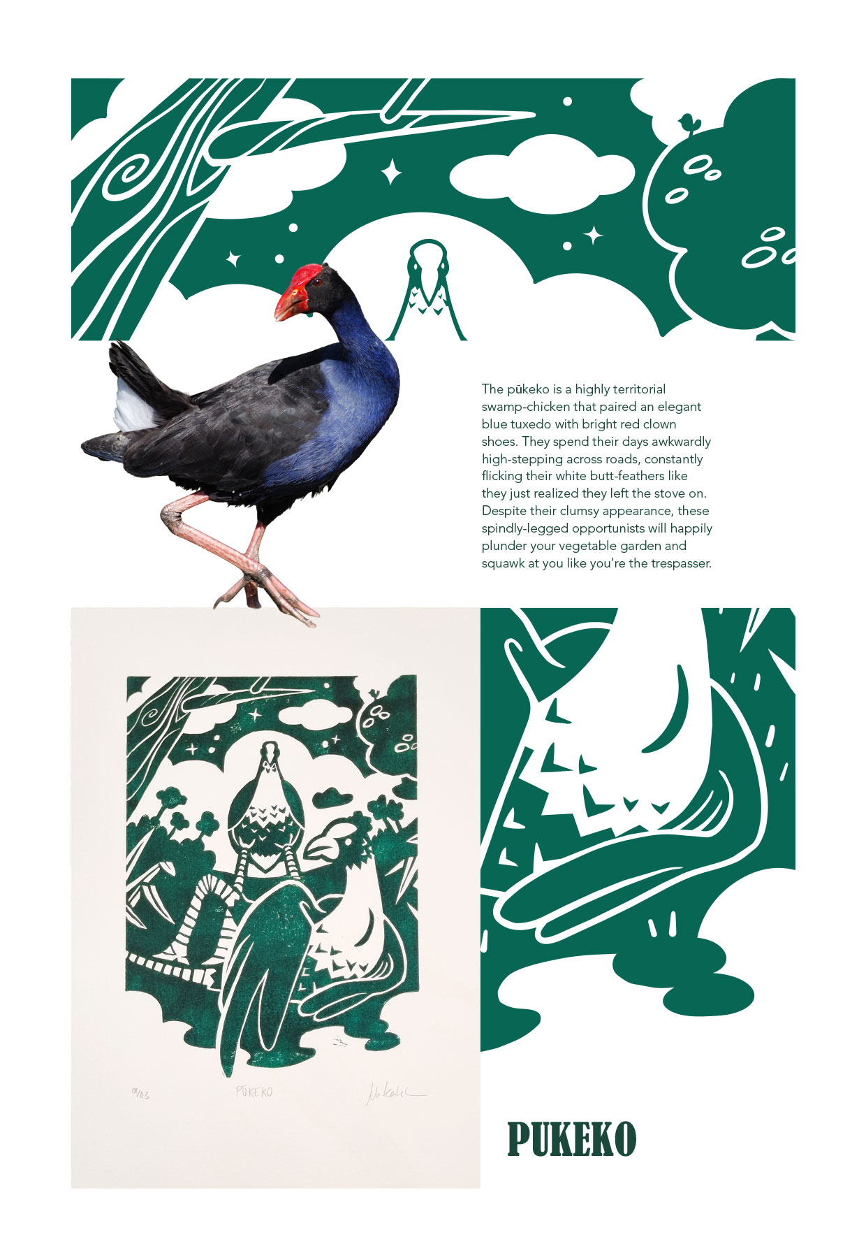 Pukeko